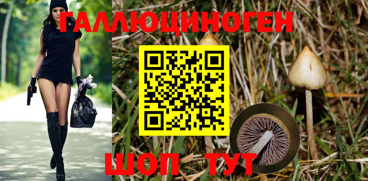 Галлюциногенные грибы прущие грибы Белгород
