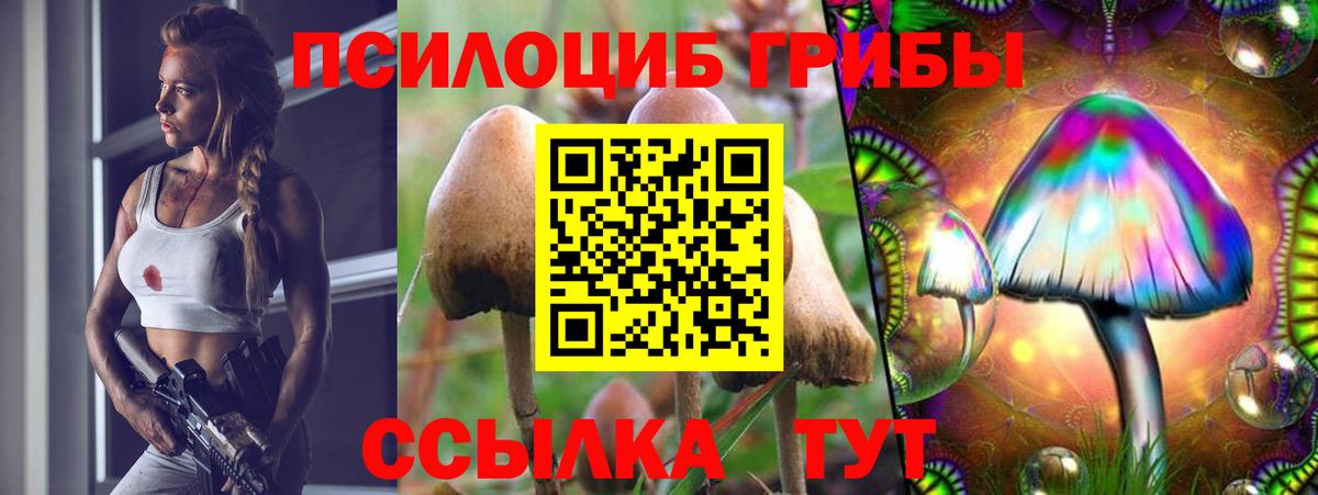 Белгород  Псилоцибиновые грибы ЛСД  Вход с VPN  Галлюциногенные грибы мицелий 
